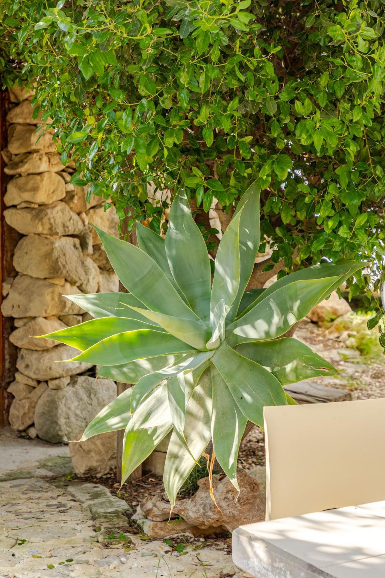 Masseria Usamborgia ノート エクステリア 写真