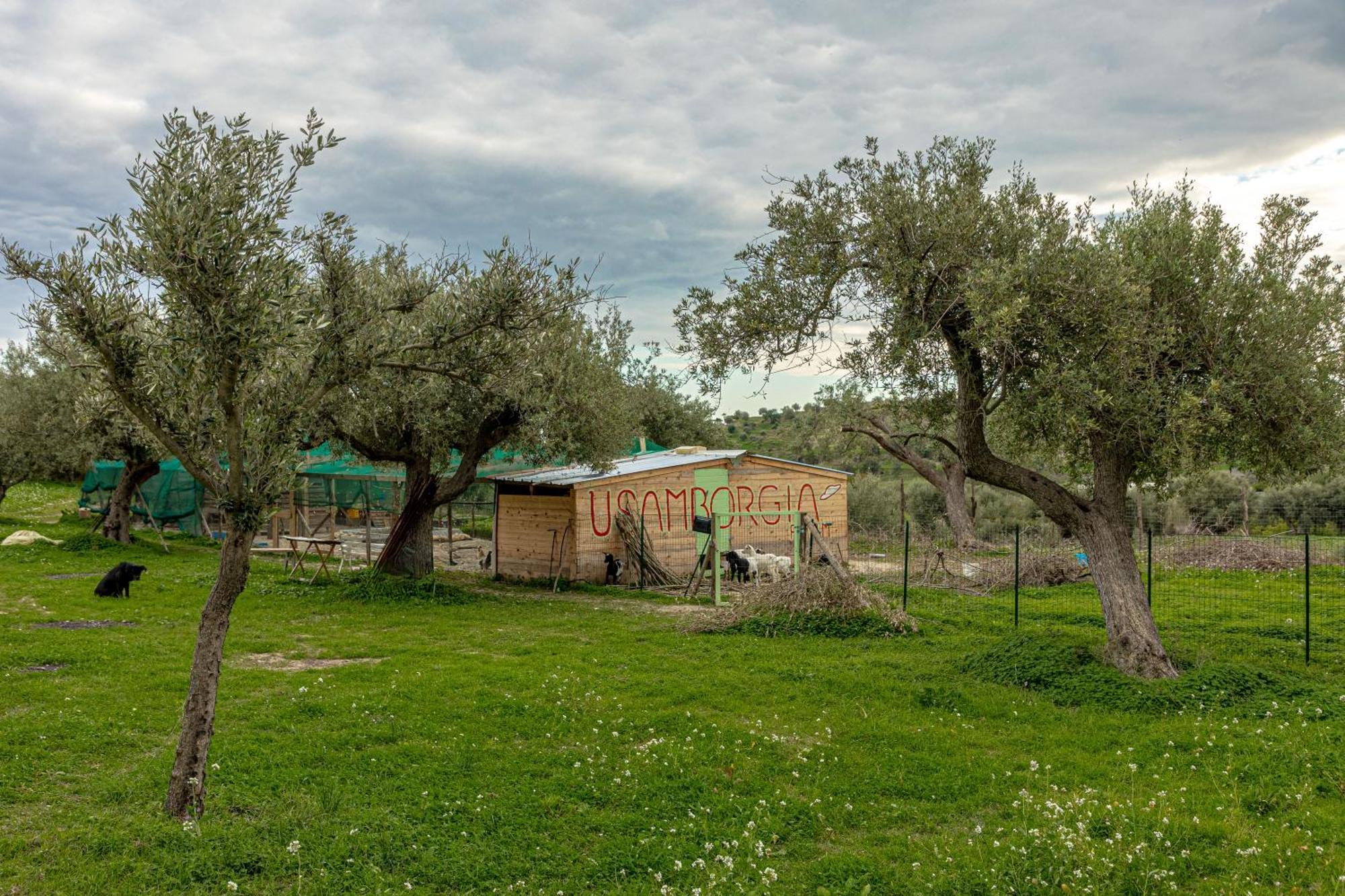 Masseria Usamborgia ノート エクステリア 写真