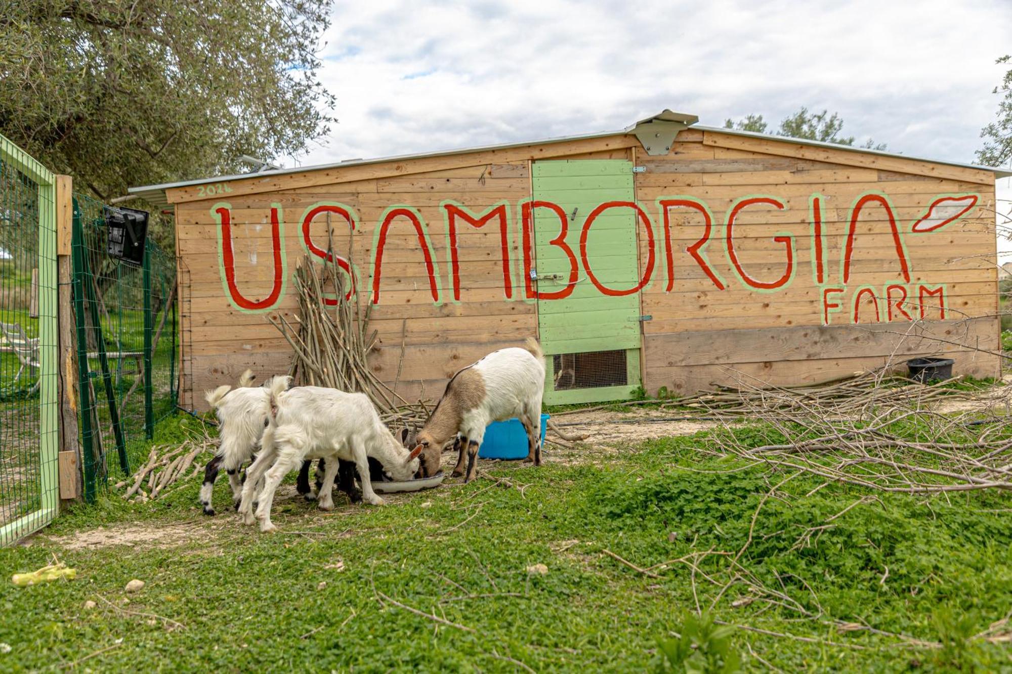 Masseria Usamborgia ノート エクステリア 写真