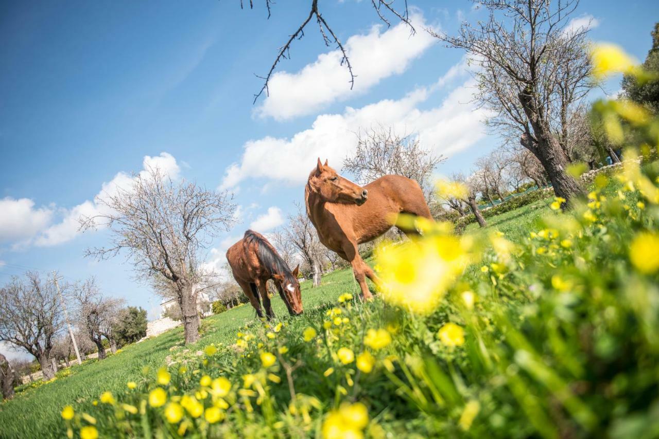 Masseria Usamborgia ノート エクステリア 写真