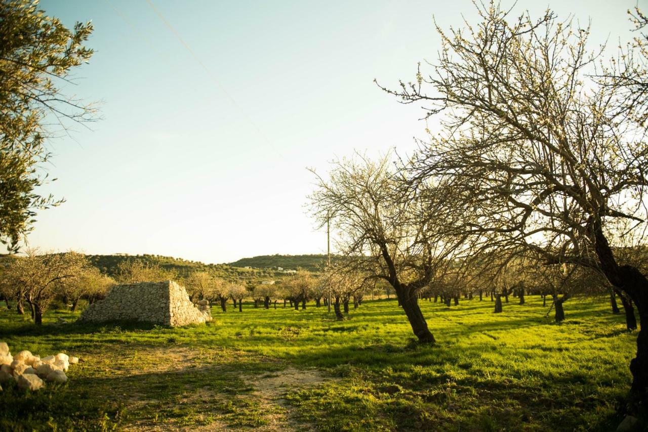 Masseria Usamborgia ノート エクステリア 写真